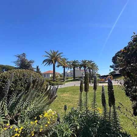 Appartement Parc Vélusine - T2 Lumineux, 4 Couchages, Clim, Terrasse, 2 Piscines&tennis Antibes